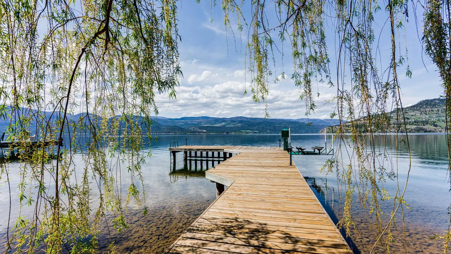 Dock seen through willow branches